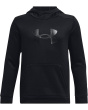 Fleece Big Logo Hoodie (Big Kids)