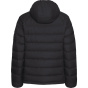 JACK WOLFSKIN Женская функциональная куртка с капюшоном WILD PASS DOWN W RDS