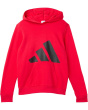 Essential Big Logo Fleece Hooded Pullover (Big Kid)