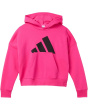 adidas Kids Флисовый пуловер с капюшоном Essential Big Logo (для больших детей)