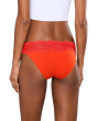 Dolce Lowrise Bikini