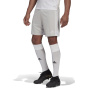ADIDAS Мужские шорты Tastigo 19