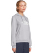 Evolution Half Dome Regular Hoodie