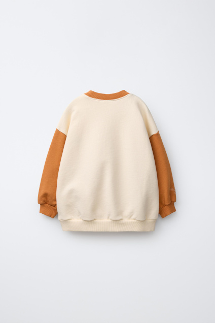 Zara ТОЛСТОВКА С ВЫШИВКОЙ В ЦВЕТ БЛОКА 545224739-086-18