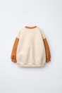 Zara ТОЛСТОВКА С ВЫШИВКОЙ В ЦВЕТ БЛОКА 545224739-086-18