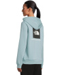 Evolution Box NSE Regular Hoodie