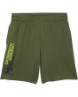 Tech Wordmark Shorts (Big Kids)