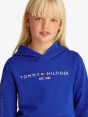 Tommy Hilfiger Толстовка C18045844-4286