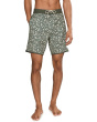 Cruzer Scallop 18'' Boardshorts