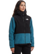 Retro Denali Hoodie