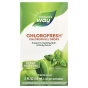 Natures Way, Chlorofresh®, капли с хлорофиллом, мята, 59 мл (2 жидк. унции)