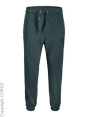 Jack & Jones Спортивные штаны C35469534-4299