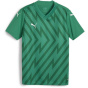 Puma Детская футболка унисекс Teamglory Jersey Jr