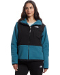 Retro Denali Hoodie