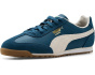 Arizona Retro Shoes