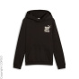 PUMA Толстовка с капюшоном C92159554-4292