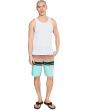 Lennox Stripe 21'' Boardshorts