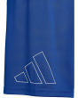 Essentials Big Logo Shorts (Big Kid)