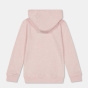 Farah Детская толстовка Унисекс с капюшоном Powell Pull Over