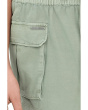 Driftwood Shorts