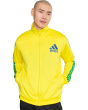 Brazil Olp Track Top