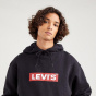 Levis Мужская толстовка с капюшоном в непринужденном графическом стиле