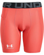 Heatgear Armour Shorts