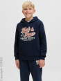 Jack & Jones Junior Толстовка с капюшоном C81632019-4292