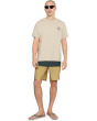 Hyperfreak Heat Block 19'' Boardshorts