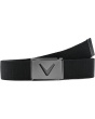V-logo Web Belt