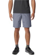 Washed Out™ Short