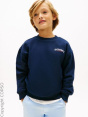 Tommy Hilfiger Толстовка C19143547-4299