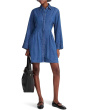 Chrisandra Denim Dress
