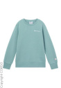 CHAMPION Толстовка C43140812-4292