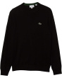 Long Sleeve Crew Neck Sweater