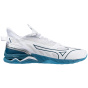 Крытая обувь Mizuno Wave Mirage