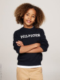 Tommy Hilfiger Вязаный свитер C60969457-4292