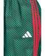Aop World Soccer Shorts (Big Kid)