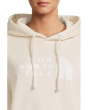 Evolution Sketch Logo Half Dome Hoodie - Graphic
