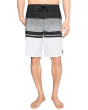 Lennox Stripe 21'' Boardshorts