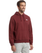 Evolution Simple Dome Regular Hoodie