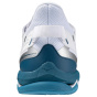 Крытая обувь Mizuno Wave Mirage