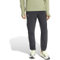 ADIDAS Мужские брюки Terrex Xperior CLIMA365 Light