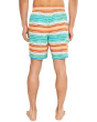 Baja Sarape Stripe 8