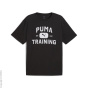 PUMA Тренировочная рубашка C58515151-4290