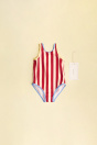 Zara ПЛАВКИ В ПОЛОСКУ TIMELESS 519161081-067-24