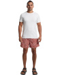 All In Shorts