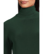 Long Sleeve Turtle Swing Dress