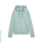 PUMA Толстовка с капюшоном C96044423-4292