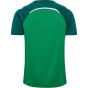 HUMMEL Мужская рубашка hmlLEAD 2.0 Джерси S/S